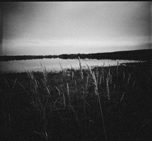 Free Moody black and white landscape featuring tall grass and a body of water. Stock Photo