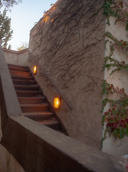 Photo by Isaac Garcia on Pexels Charming stone staircase with warm lights and ivy-covered walls at sunset.