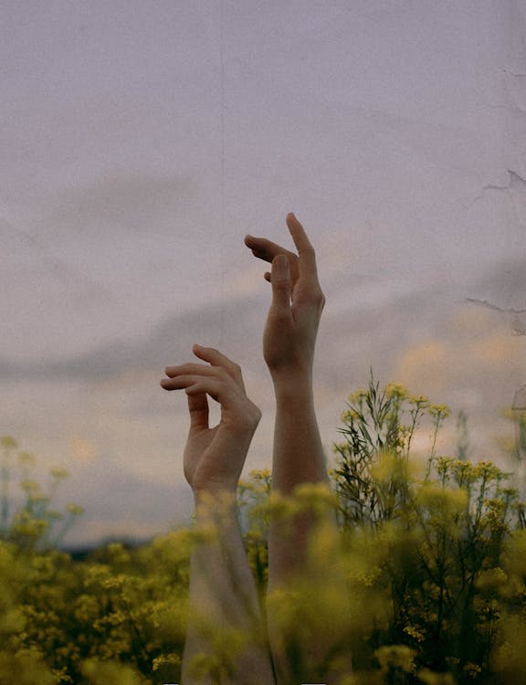 Free Two Hands of People Laying on Flowery Meadow Stretched Out to Sky Stock Photo