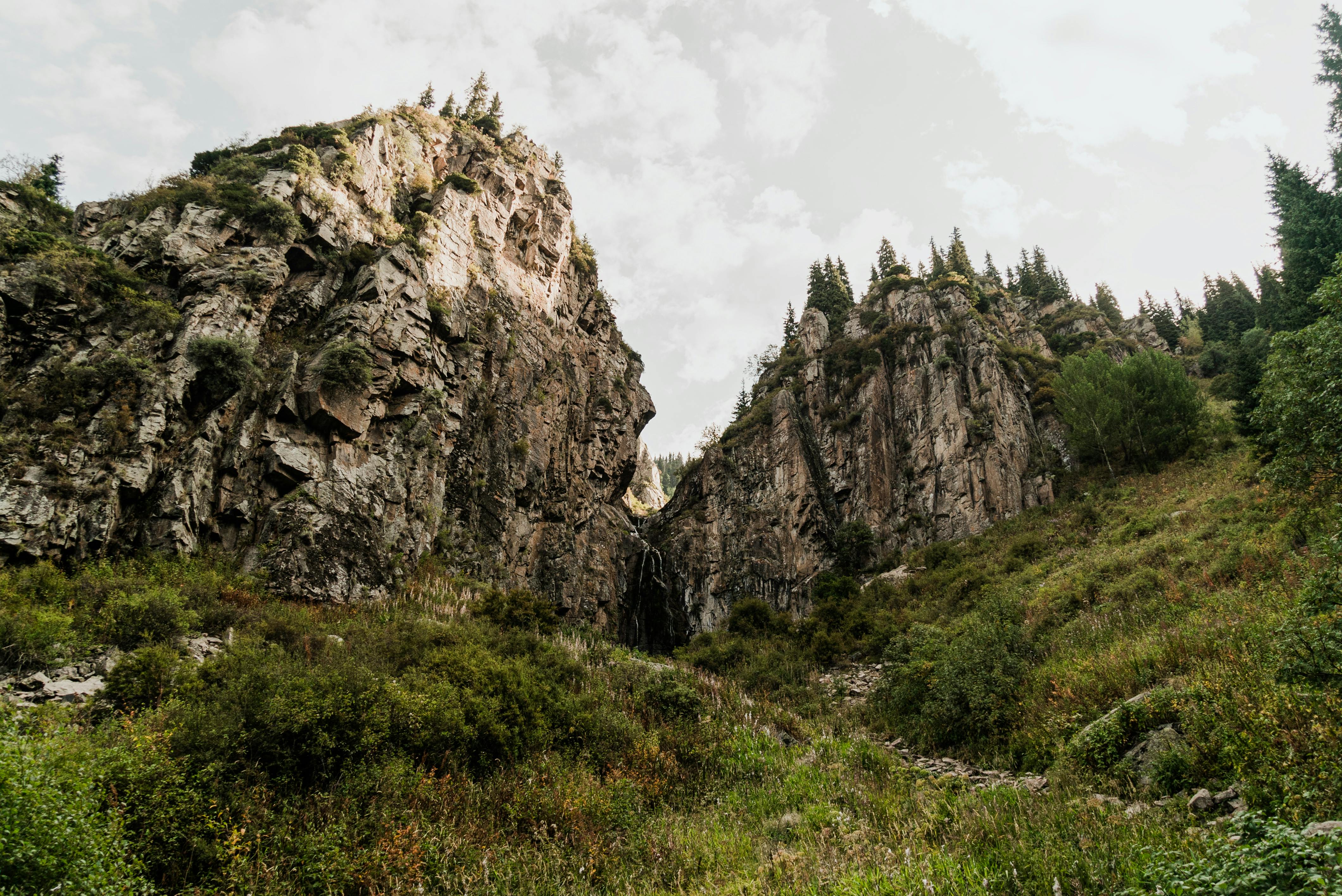 бесплатная Бесплатное стоковое фото с горный хребет, горы, деревья Стоковое фото