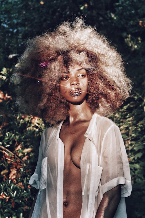 Imagine de stoc gratuită din ademenitor, afro păr, afro-american