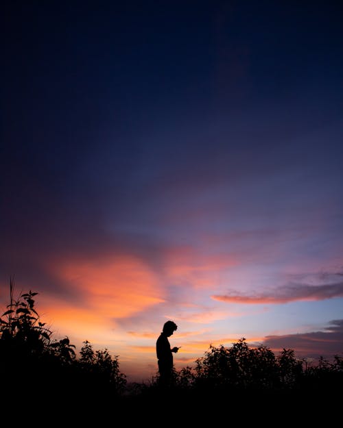 Silhouette of Person Standing Near Trees During Twilight 