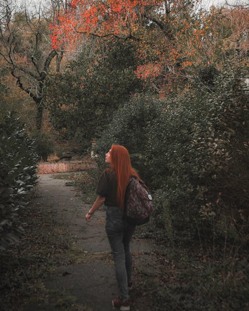 Základová fotografie zdarma na téma batoh, chůze, osoba