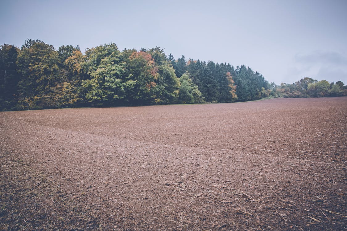 Free Stock Photo Of Agriculture, Clouds, Countryside Stock Photo