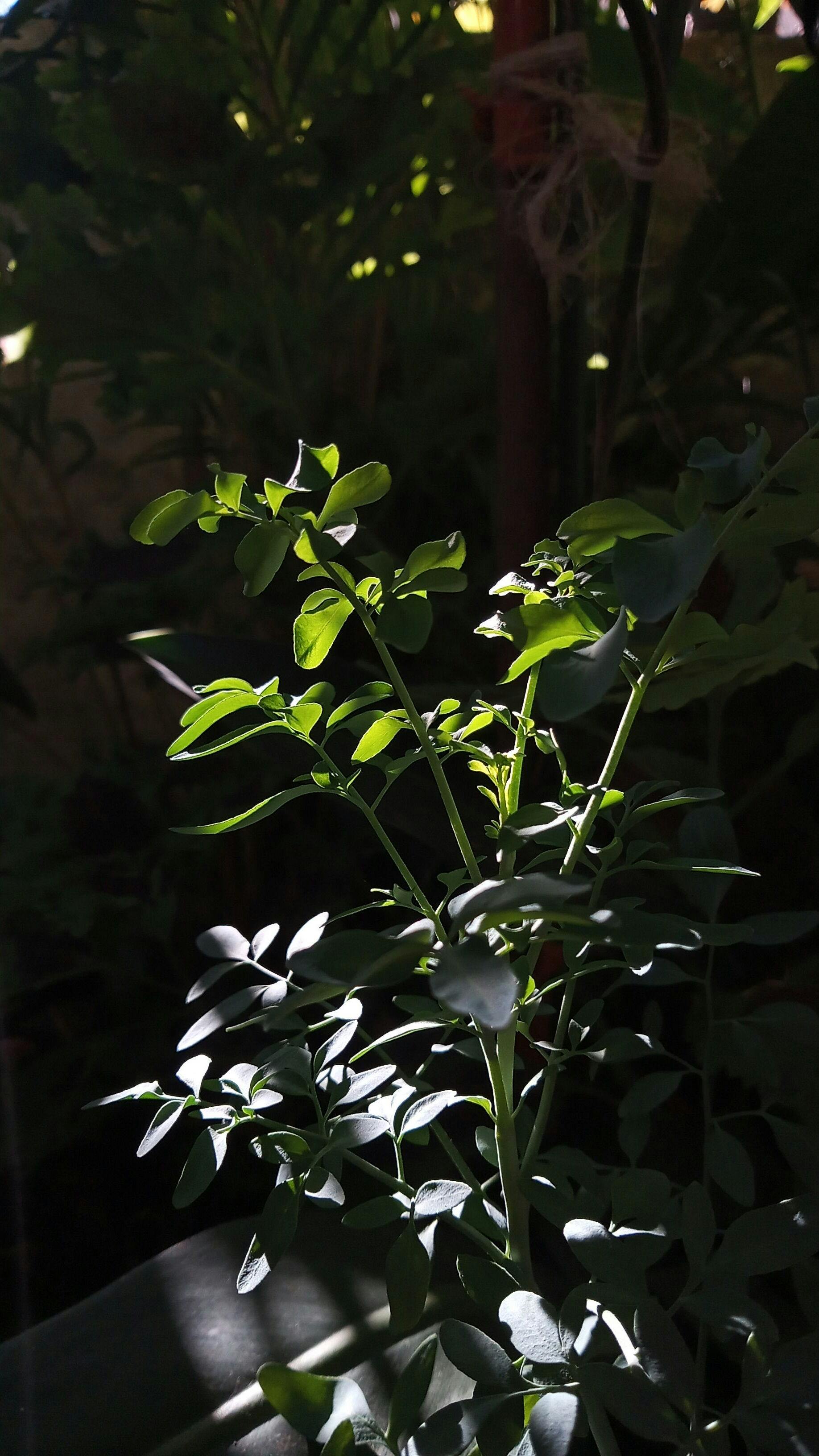 Cozy breakfast table with coffee, granola, fruit, and yogurt
