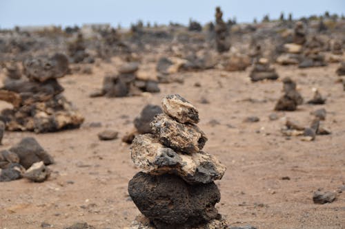 Free stock photo of fuerteventura, nature Stock Photo