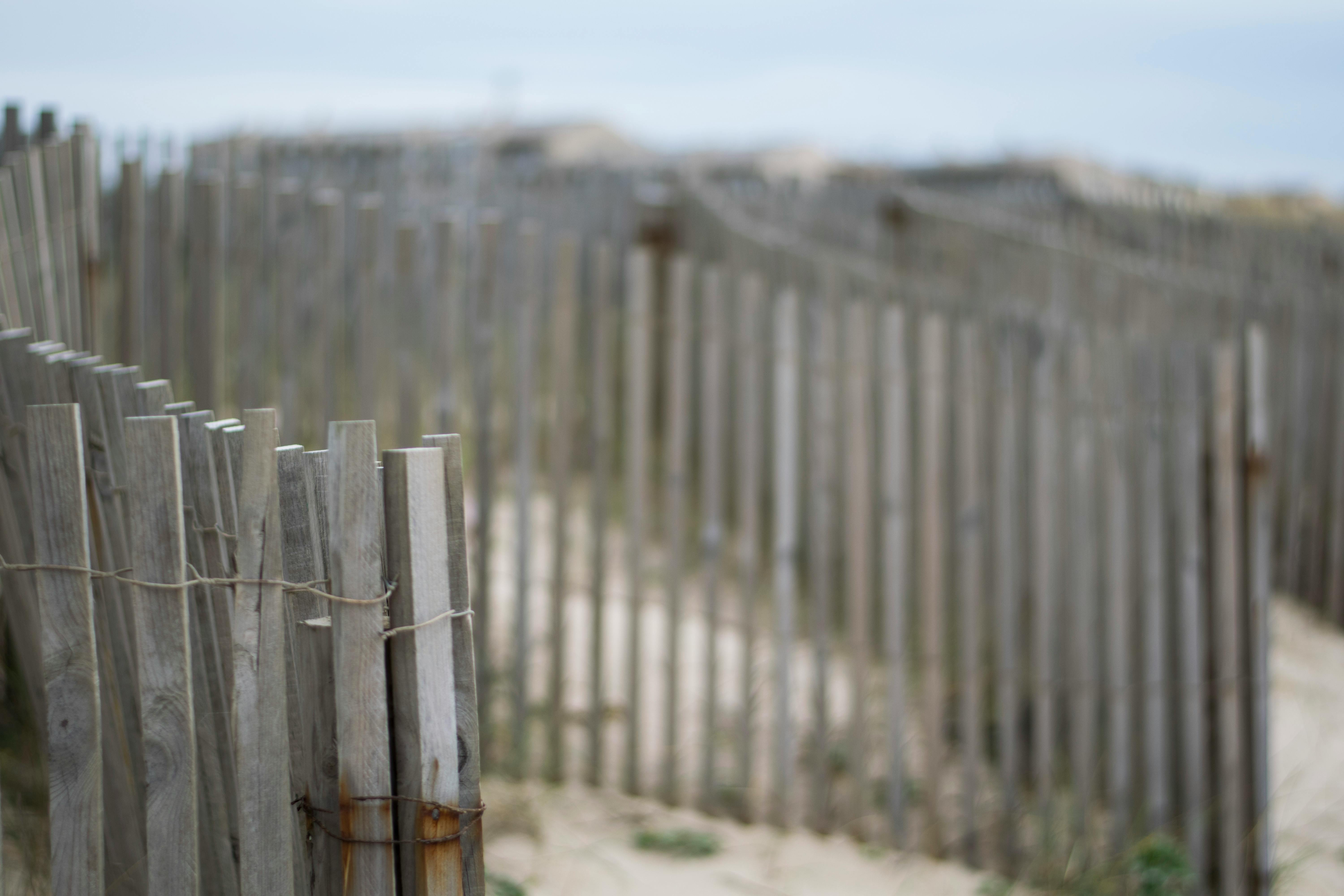 Sand Fence
