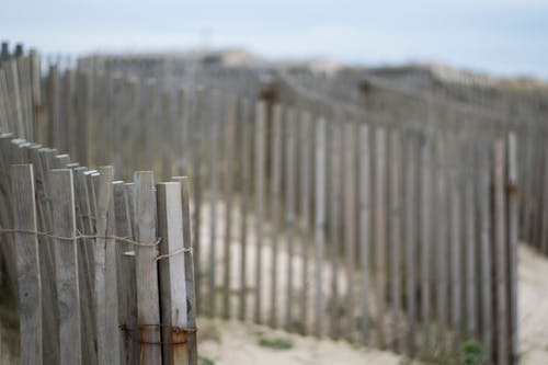 Free Shallow Focus Photography of Brown Wooden Fence Stock Photo