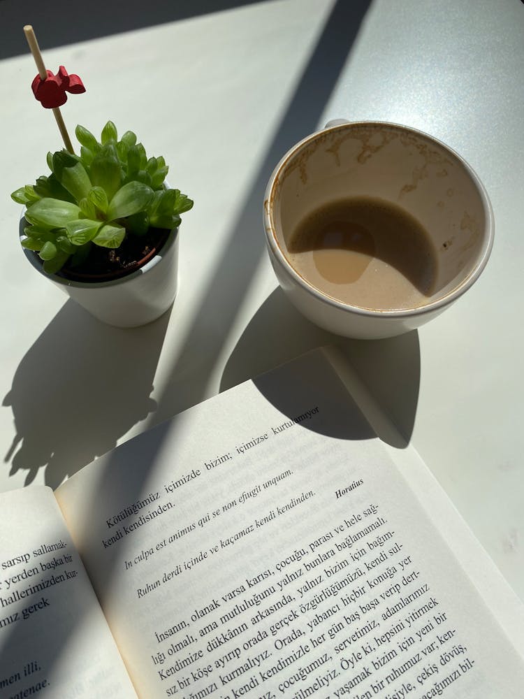 Close-up Photo Of A Used Mug And A Book