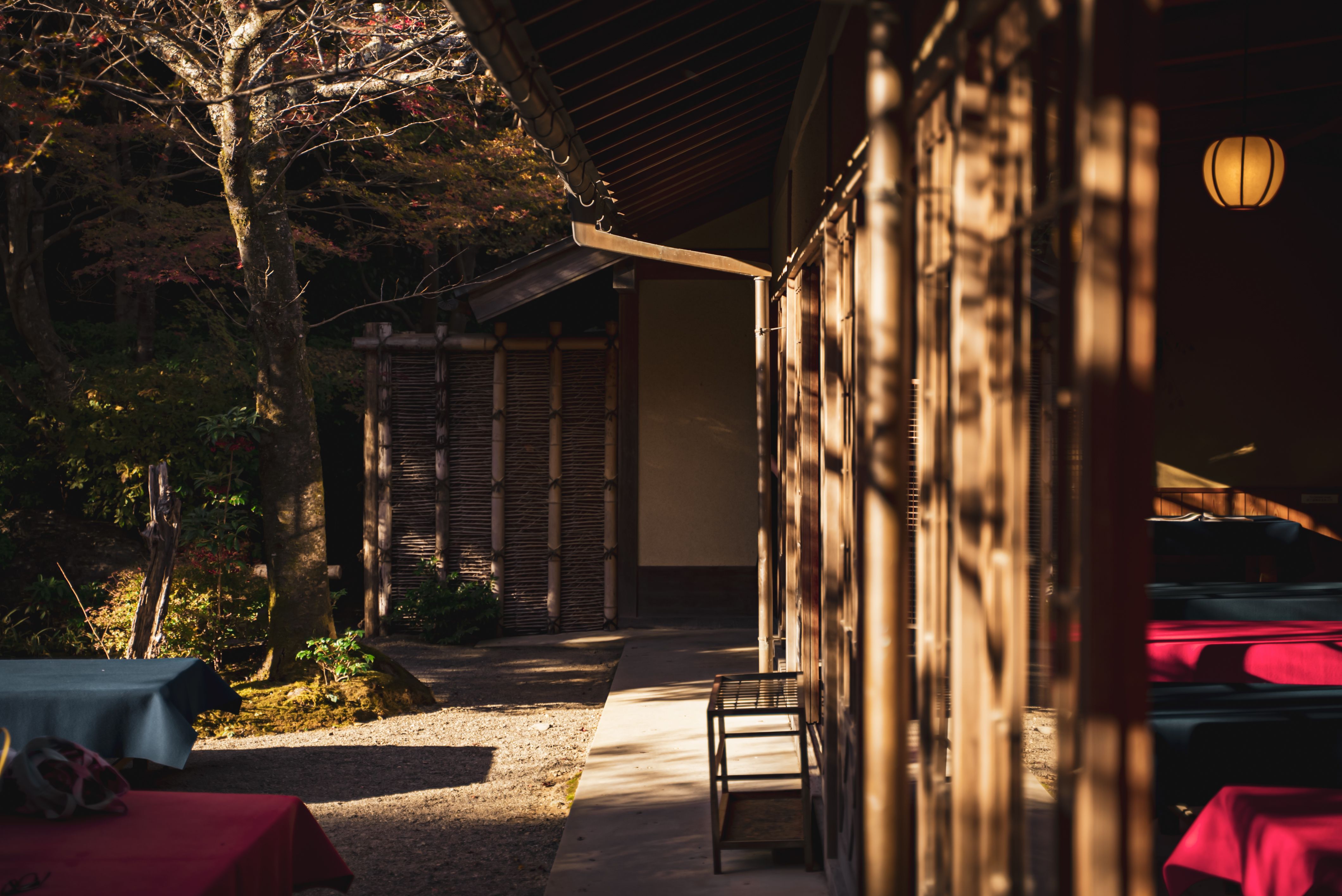 Kenapa Kyoto? Rumah bagi Zen Garden yang Autentik