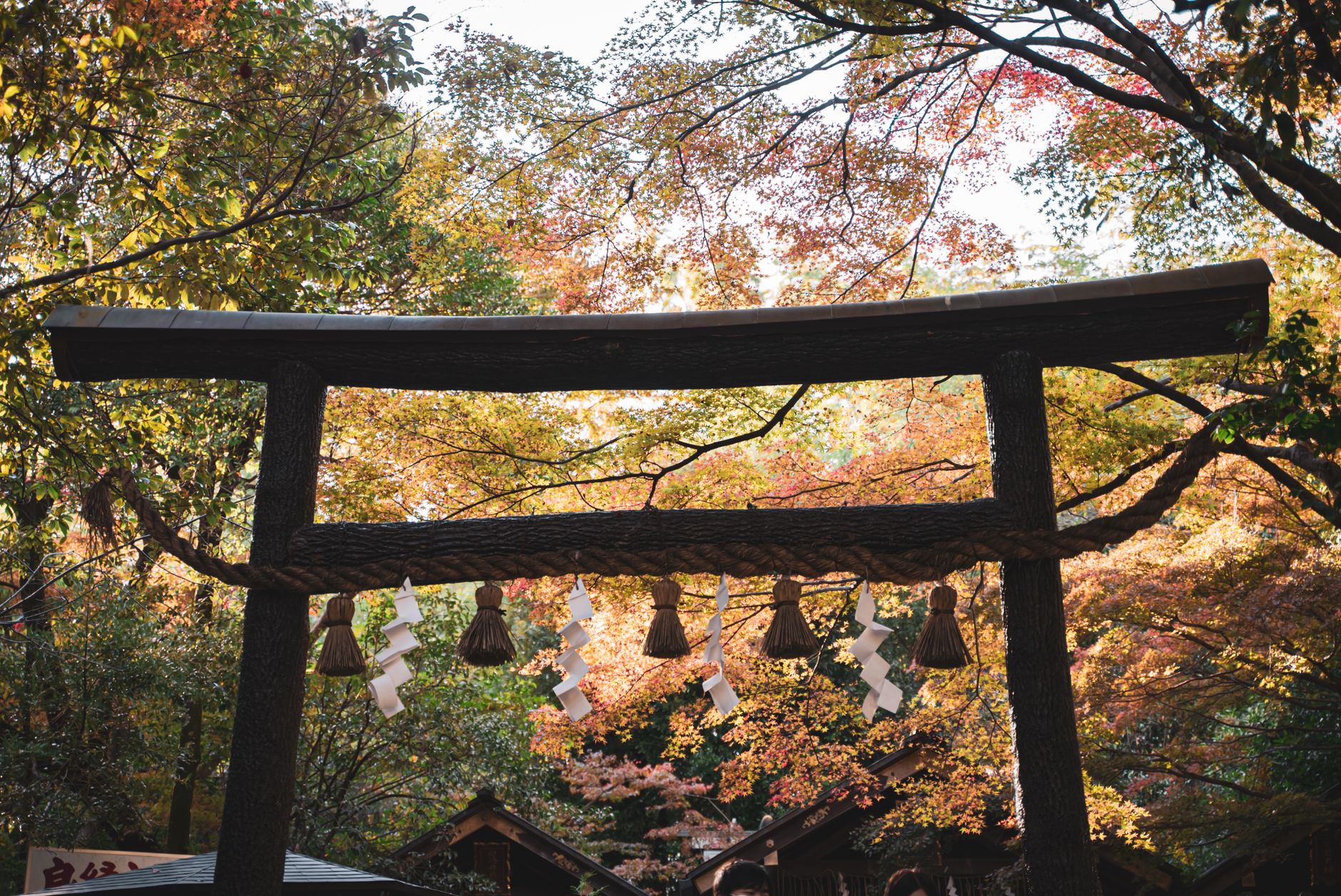 紅葉の中の鳥居