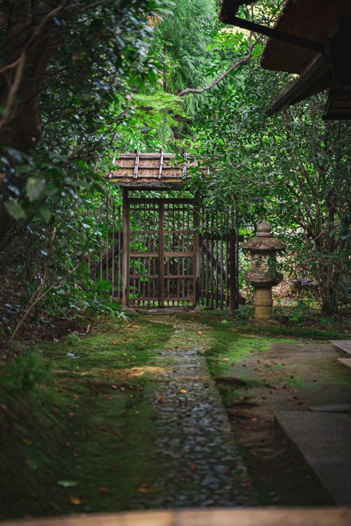 Free A serene pathway leading to a traditional Japanese gate in a lush Kyoto garden. Stock Photo