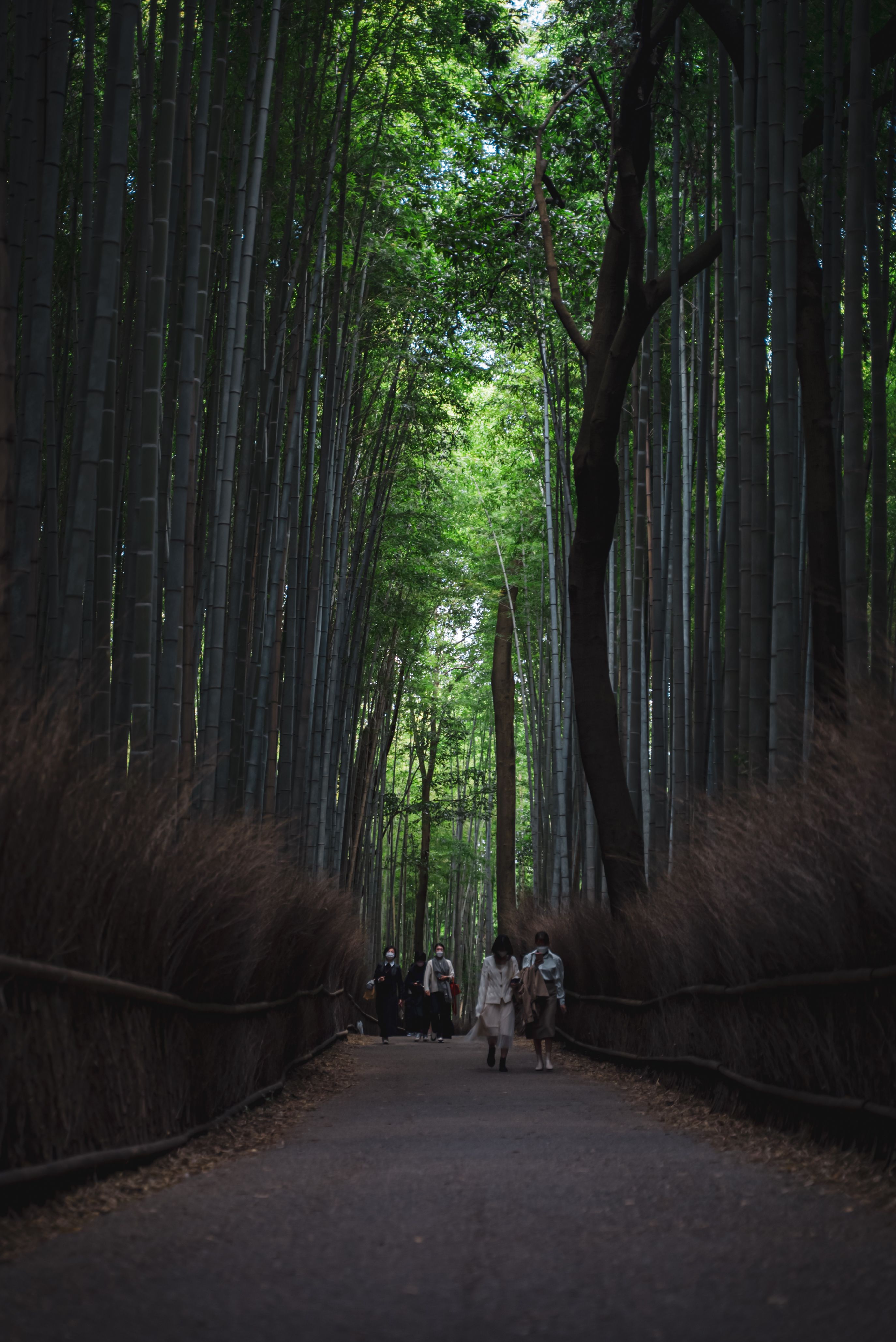 People in a Park · Free Stock Photo