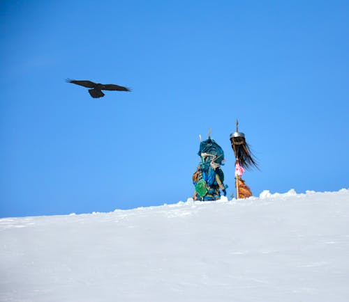 Immagine gratuita di picco di una montagna e corvo
