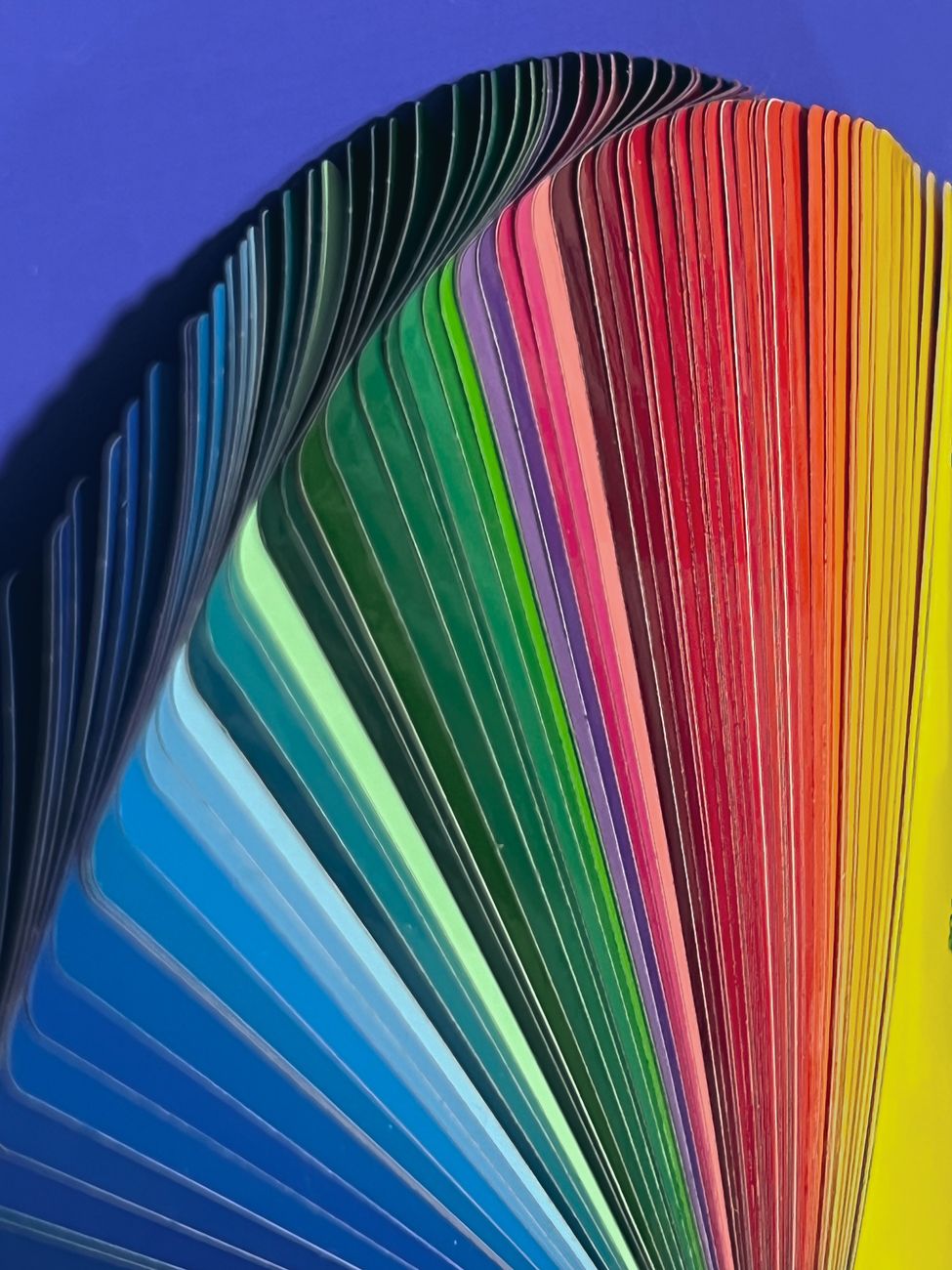 Rows of color swatches and paint chips laid out for review