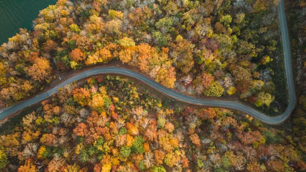 A stunning aerial photo showcasing a winding road through vibrant fall foliage in Whitwell, Tennessee.