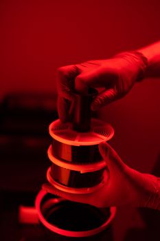 Close-up of hands developing film rolls under red light in a darkroom.