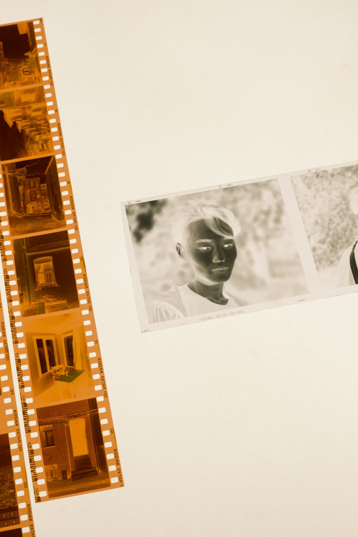 Film negatives and a proof print on a light table