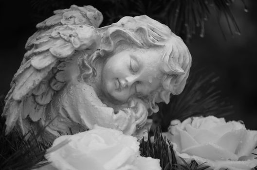 Close-up of a serene angel sculpture in a cemetery, captured in monochrome, surrounded by nature.