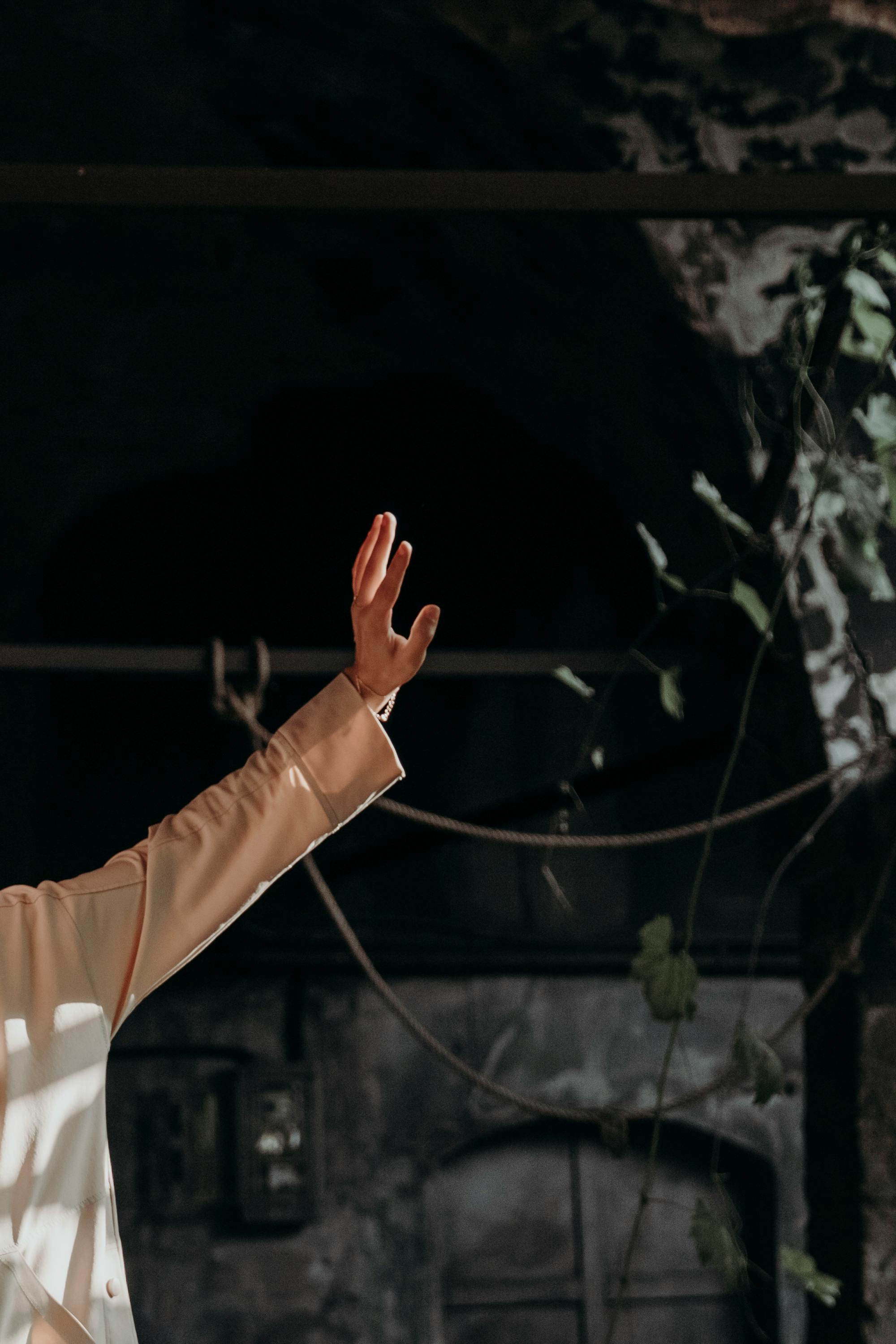 partially shaded raised bed UK