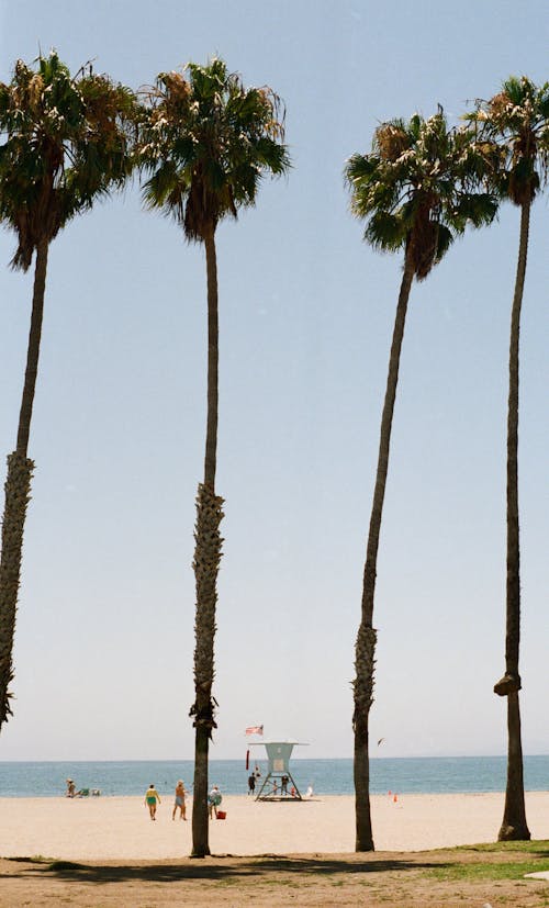Darmowe zdjęcie z galerii z 35 mm, film 35 mm, kalifornia