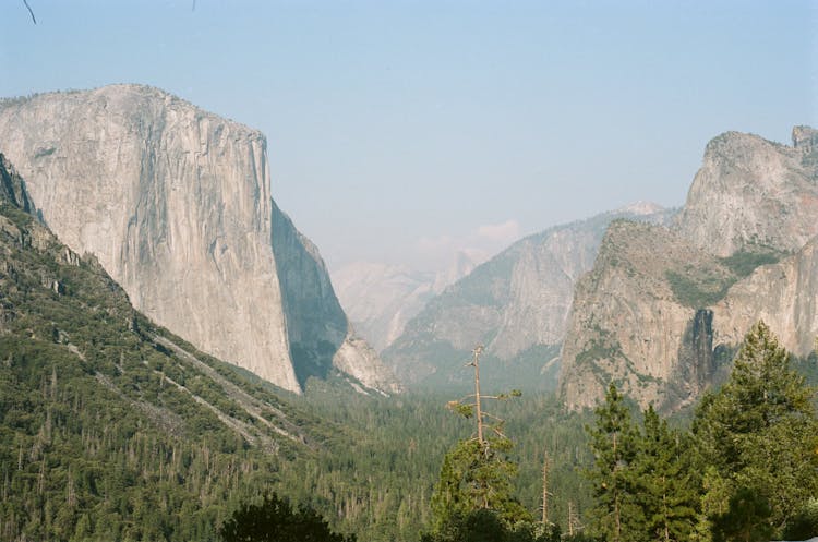 Landscape, Yosemite, California 