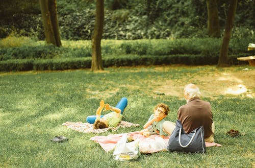 Family Having a Picnic