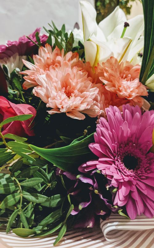 Free Colorful arrangement of chrysanthemums, lilies, and gerbera flowers, captured in close-up. Stock Photo