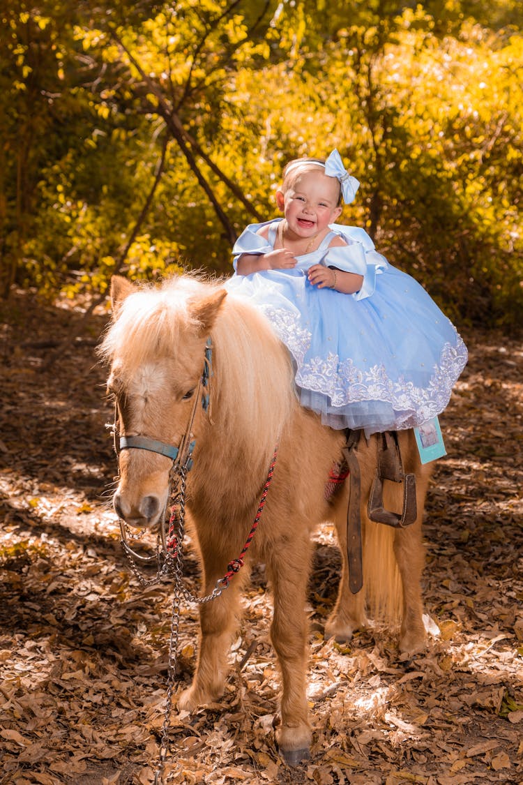 A Toddler Riding A Pony