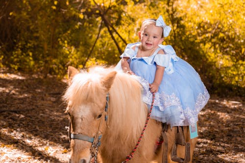 A Cute Girl Riding a Pony