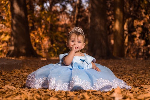 Free A Girl in Blue Gown Sitting on Fallen Leaves  Stock Photo
