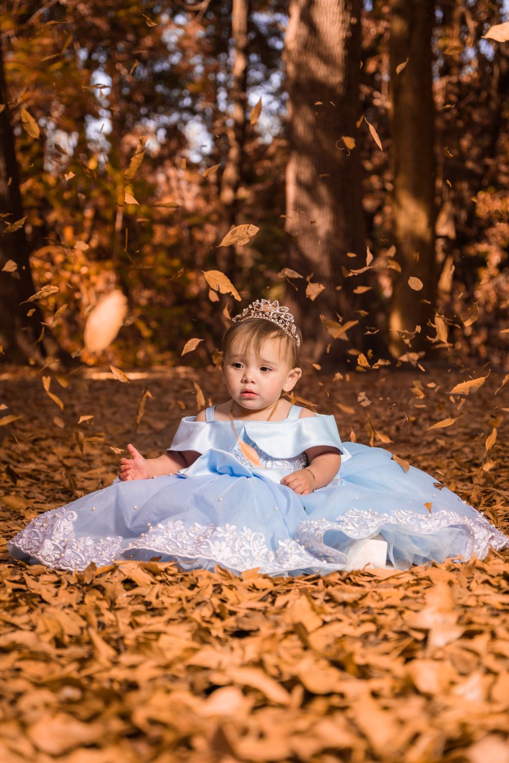 A Cute Baby Girl in Blue Dress Sitting on Dry Leaves · Free Stock Photo