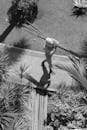 Man in Black Jacket and Pants Standing on Tree Branch