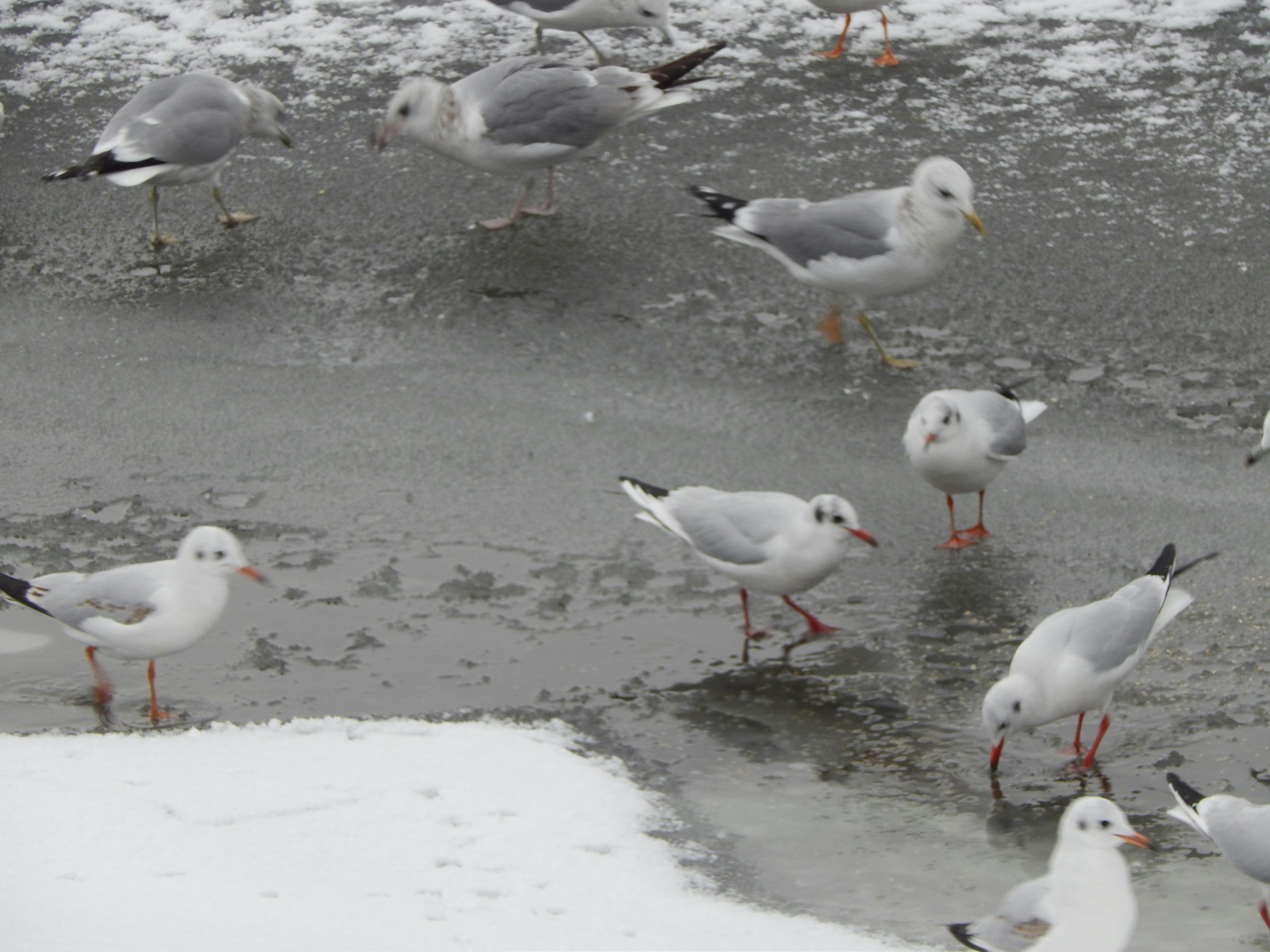 世界各地の美味しい料理が並ぶテーブル