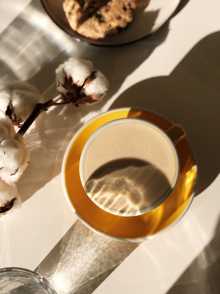 Cup Of Coffee With Cotton Flower And Cookie Seen From Above 