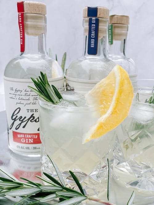 Alcoholic Drink on Glass With Lemon Slice and Olive Leaves