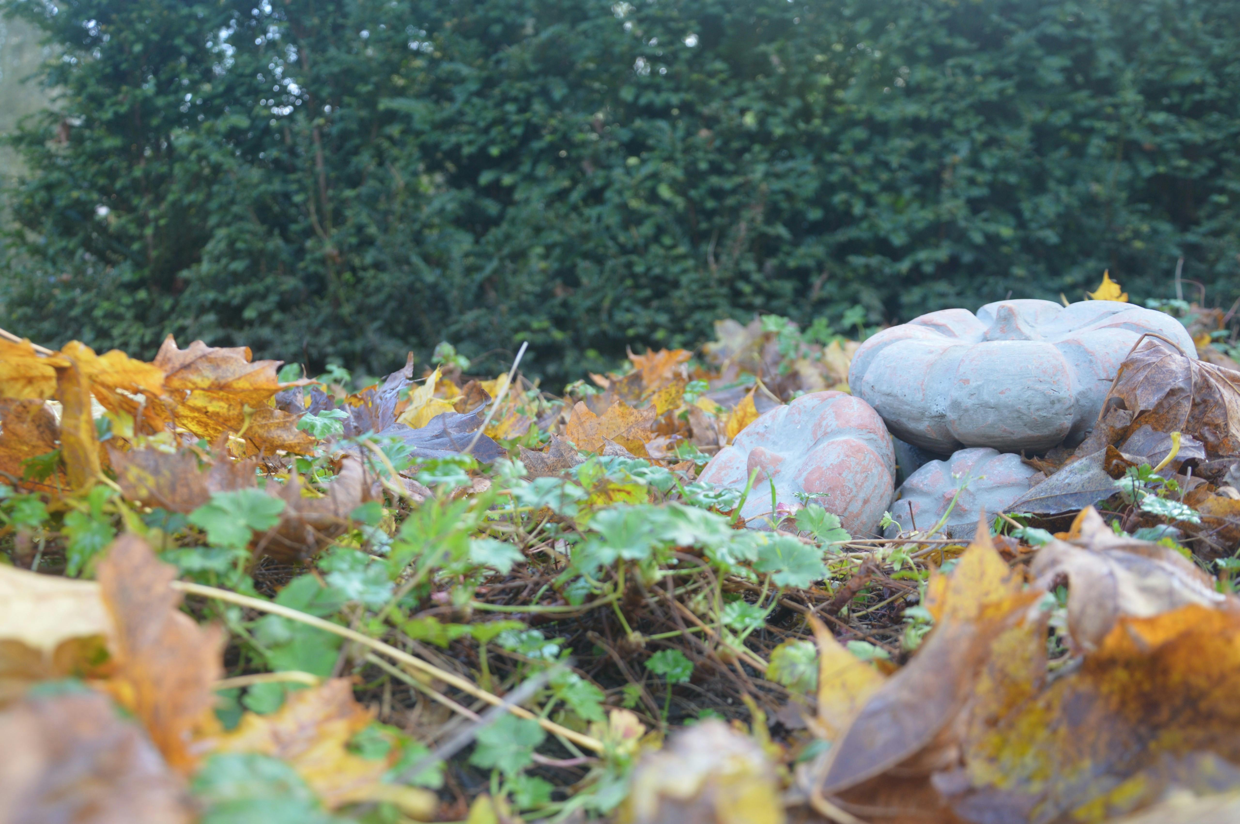 Deep sea environment