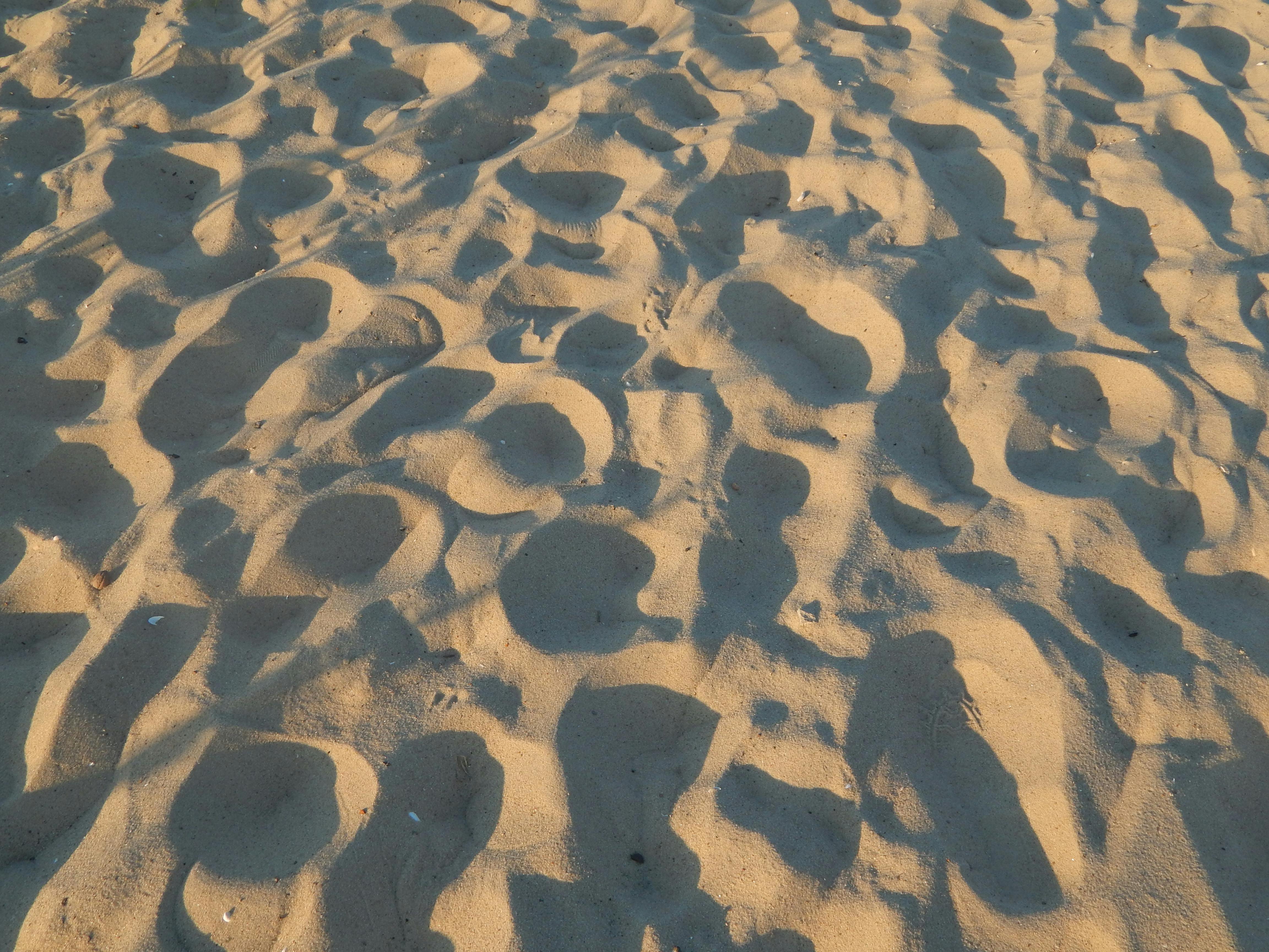 Vibrant street food market with various dishes and people enjoying food