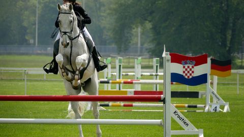 The steeplechase barrier is a decision about rhythm, not height