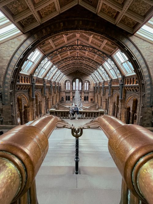 Free Stunning architectural view of London's Natural History Museum's interior hall. Stock Photo