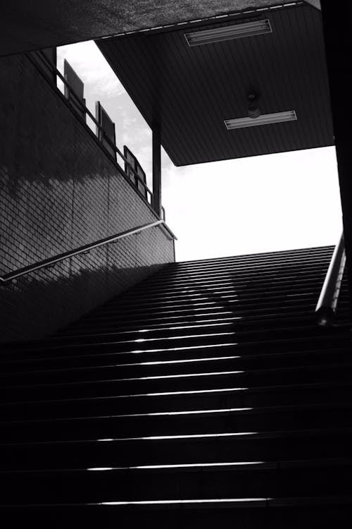 Grayscale Photo of Stairs