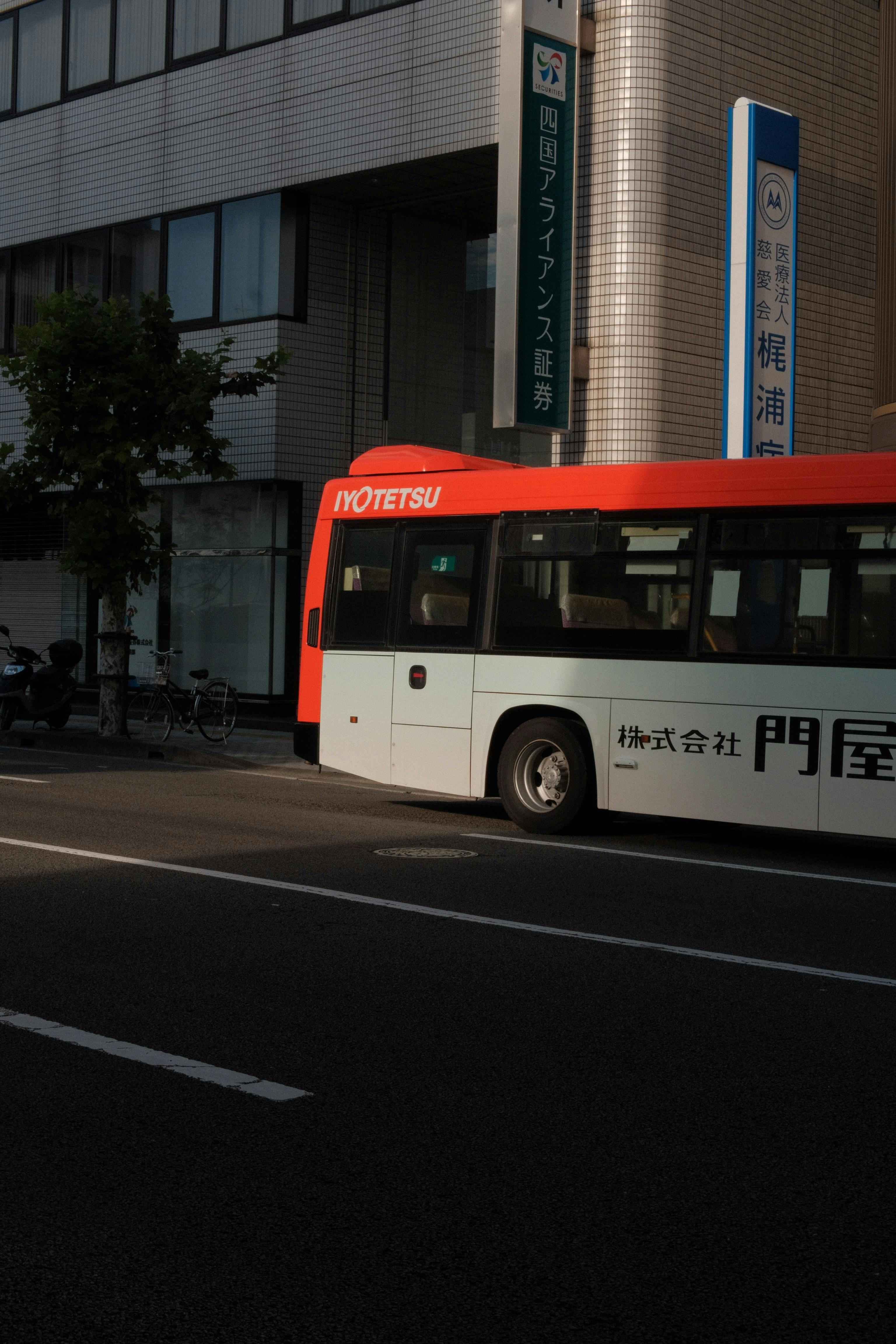 Two Buses On The Road · Free Stock Photo