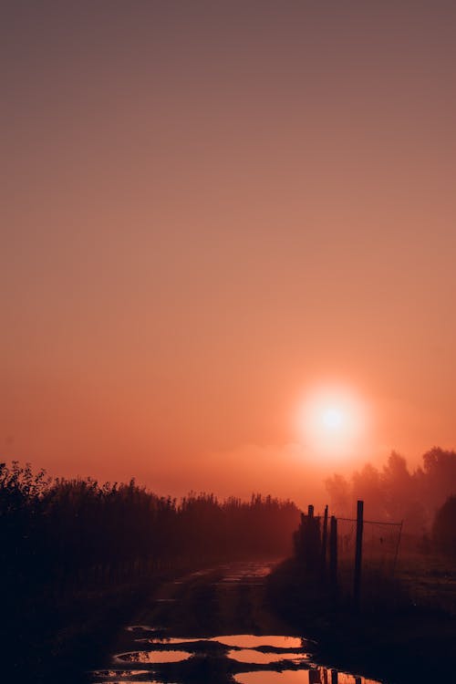 Photos gratuites de arbres, aube, chemin de terre