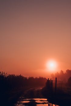 A serene dirt pathway with puddles at sunrise in Wandalin, Poland, surrounded by trees and fields.