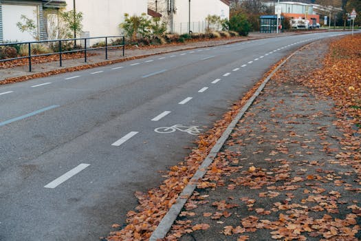 A deserted urban bike lane covered with autumn leaves, offering a tranquil cityscape view.
