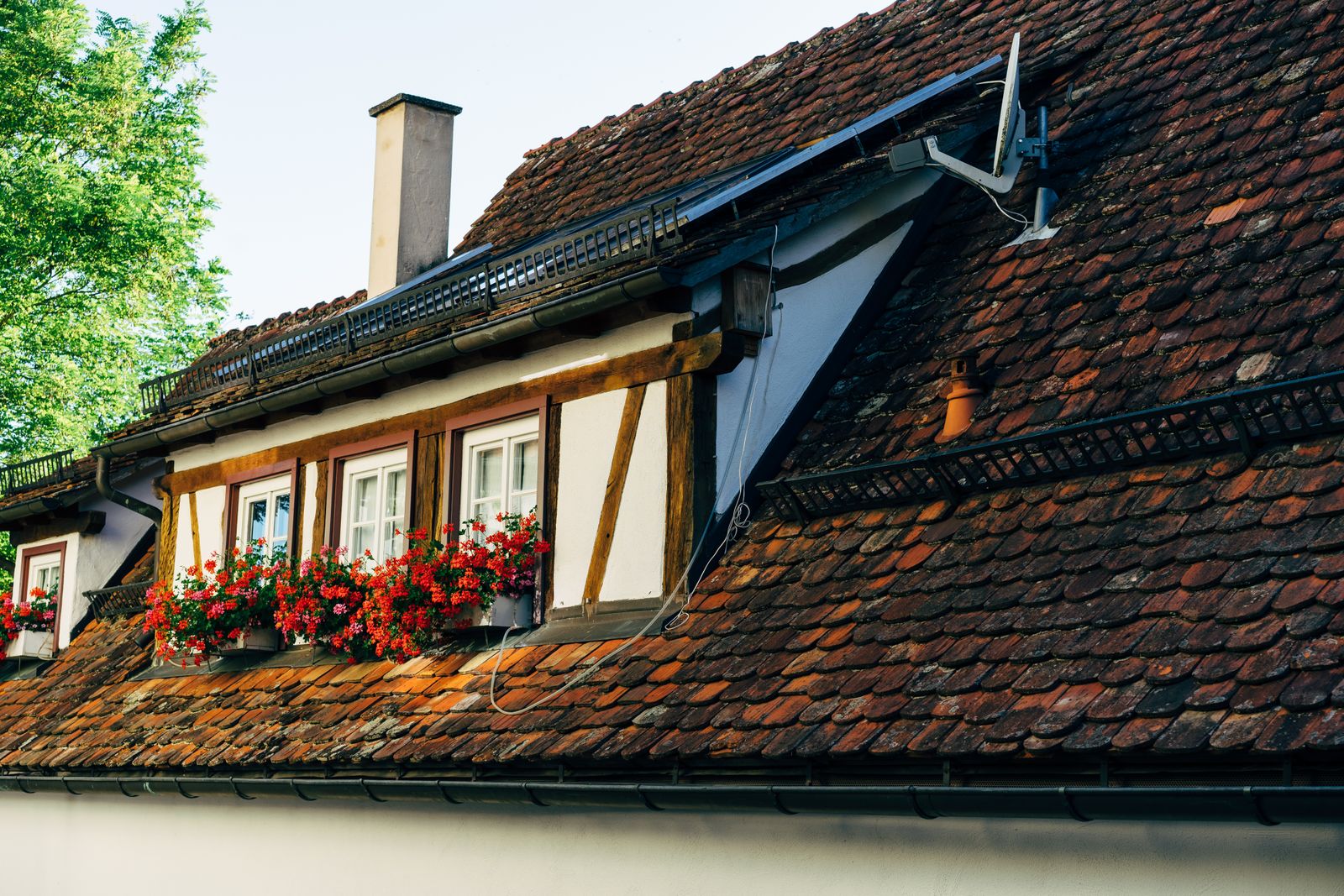 House with solar panels on its roof above window flower boxes (illustrative photo)