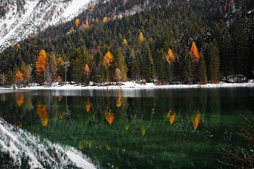 Free Vibrant autumn foliage reflected in a tranquil lake in Trentino-Alto Adige, Italy, showcasing the serene beauty of nature. Stock Photo