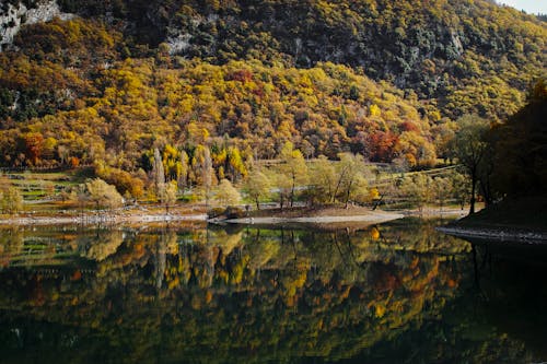 Základová fotografie zdarma na téma fotografie přírody, horské svahy, jaro