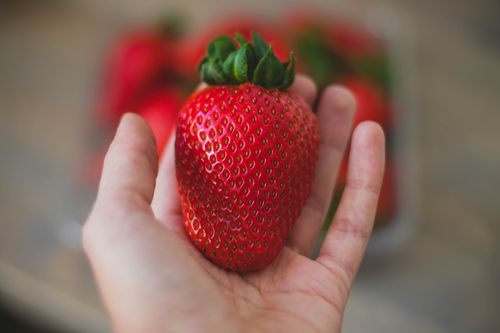 Free A vibrant close-up of a large, fresh strawberry held in a person's hand. Stock Photo