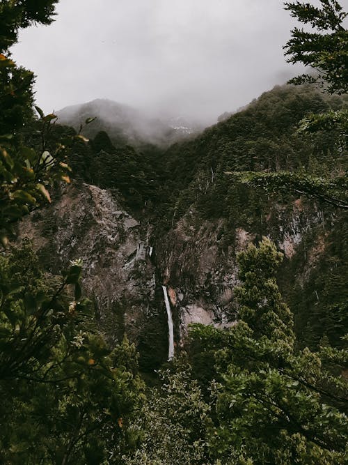 Immagine gratuita di cascata, foresta, foresta di montagna